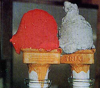 ピカタの森アイス工房のアイス