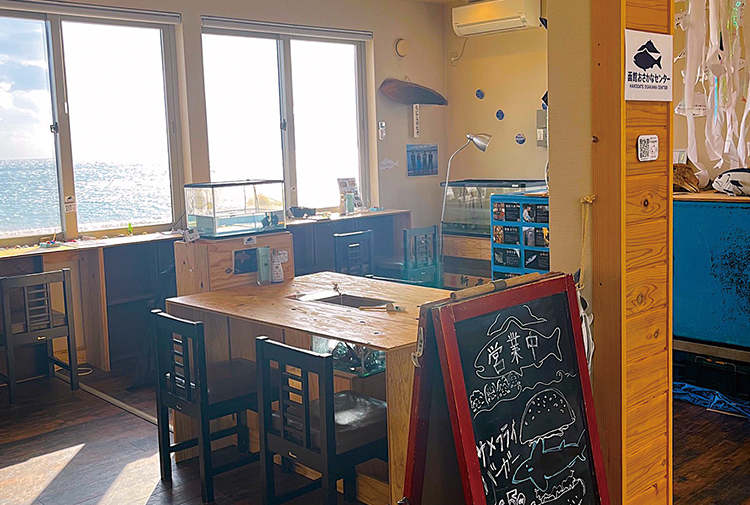 函館おさかなセンターのお店