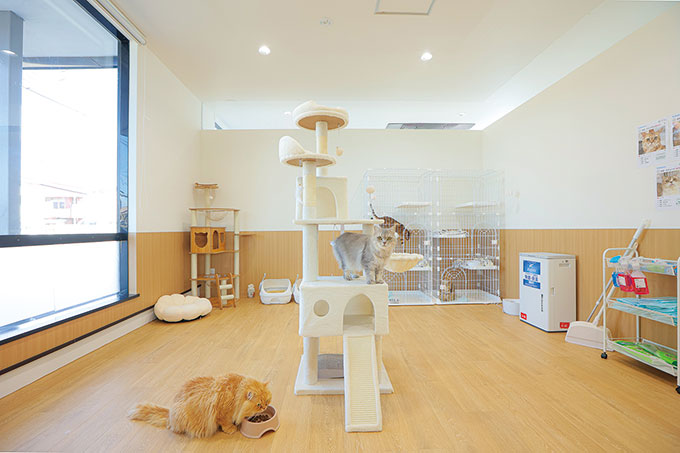 【会える】ANELL CAFÉ（アネラカフェ）函館店