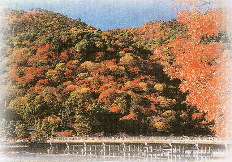京都の嵐山