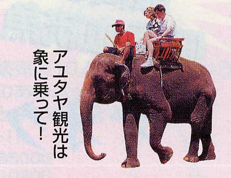 アユタヤ観光は象に乗って