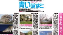 【函館の桜ガイド】花見とジンギスカンはココで決まり！